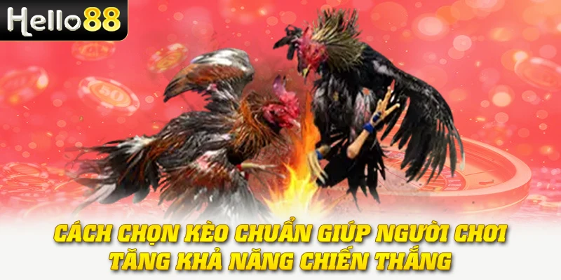 Cách chọn kèo chuẩn giúp người chơi tăng khả năng chiến thắng