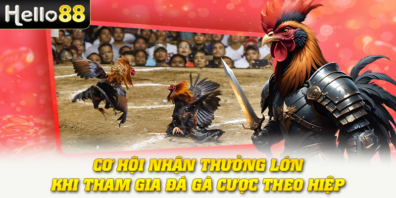 Cơ hội nhận thưởng lớn khi tham gia đá gà cược theo hiệp