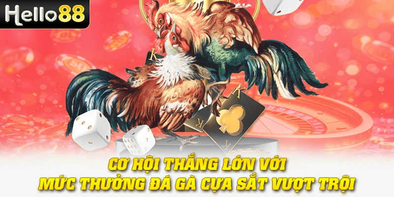 Cơ hội thắng lớn với mức thưởng đá gà cựa sắt vượt trội