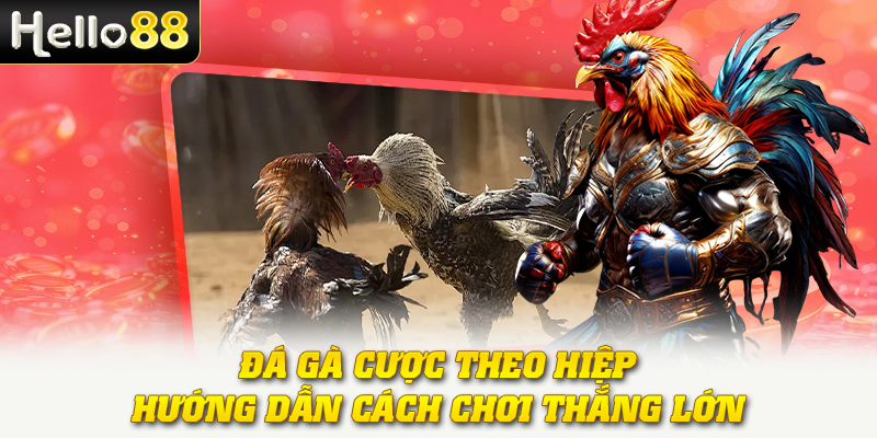 Đá Gà Cược Theo Hiệp - Hướng Dẫn Cách Chơi Thắng Lớn