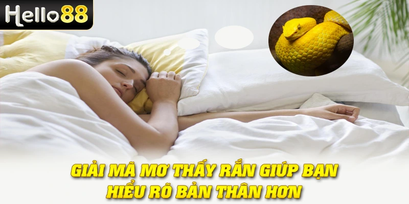 Giải mã mơ thấy rắn giúp bạn hiểu rõ bản thân hơn