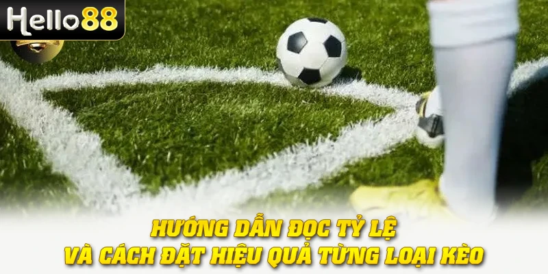 Hướng dẫn đọc tỷ lệ và cách đặt hiệu quả từng loại kèo