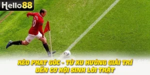 Kèo Phạt Góc - Từ Xu Hướng Giải Trí Đến Cơ Hội Sinh Lời Thật