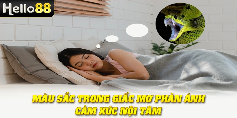 Màu sắc trong giấc mơ phản ánh cảm xúc nội tâm