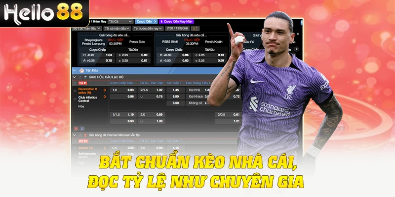 Kèo Nhà Cái - Cách Đọc, Đặt Và Thắng Cược Nhanh Nhất 2 Bắt chuẩn kèo nhà cái, đọc tỷ lệ như chuyên gia